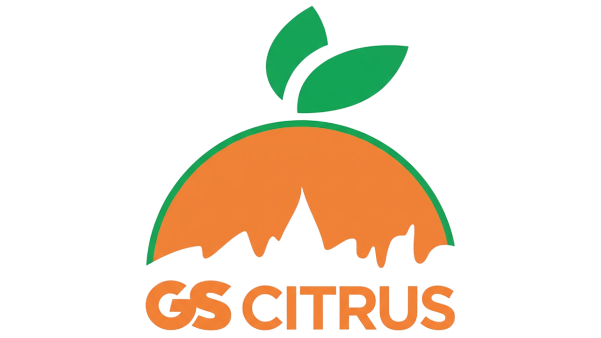logo 4