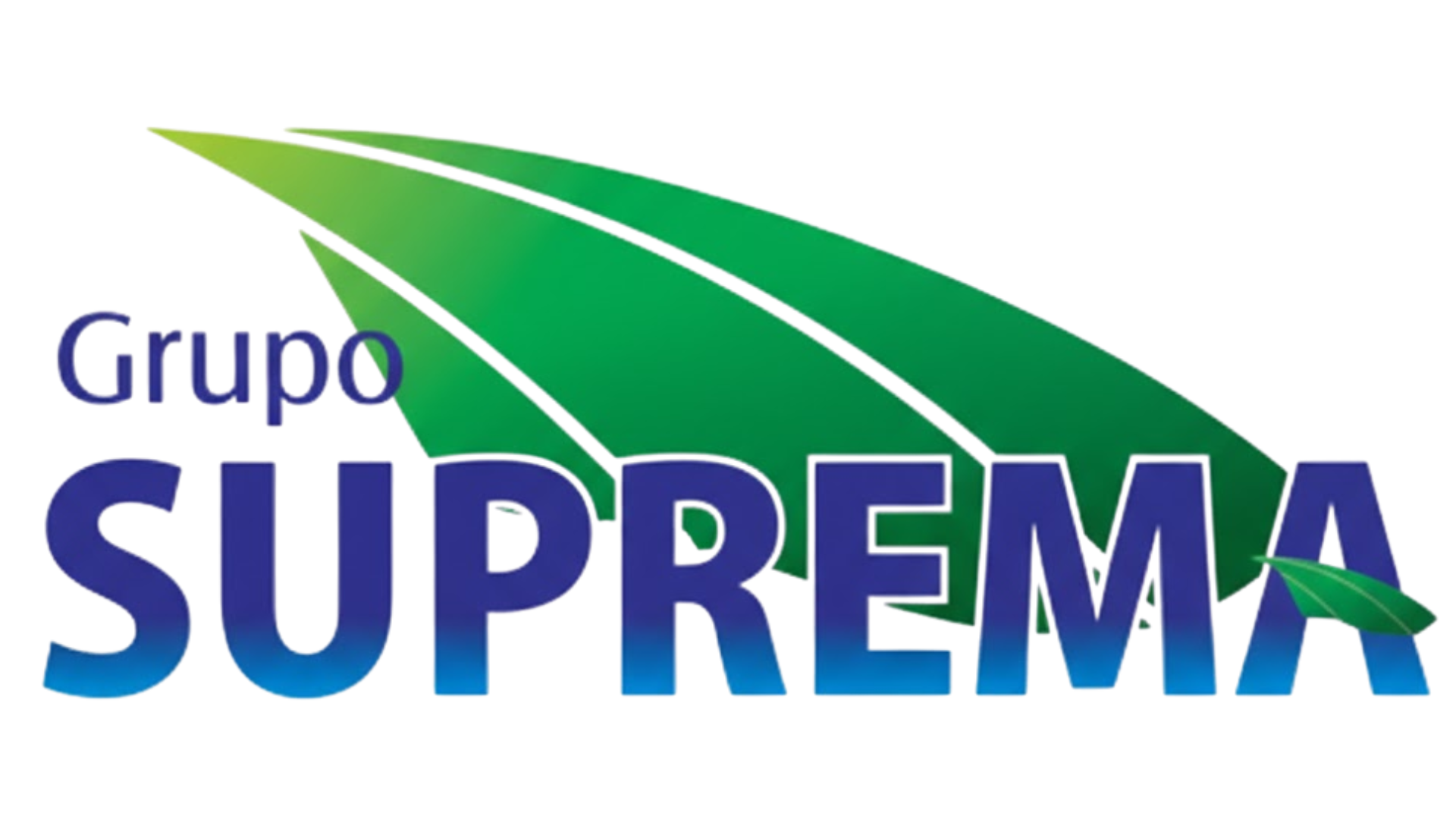 logo 7
